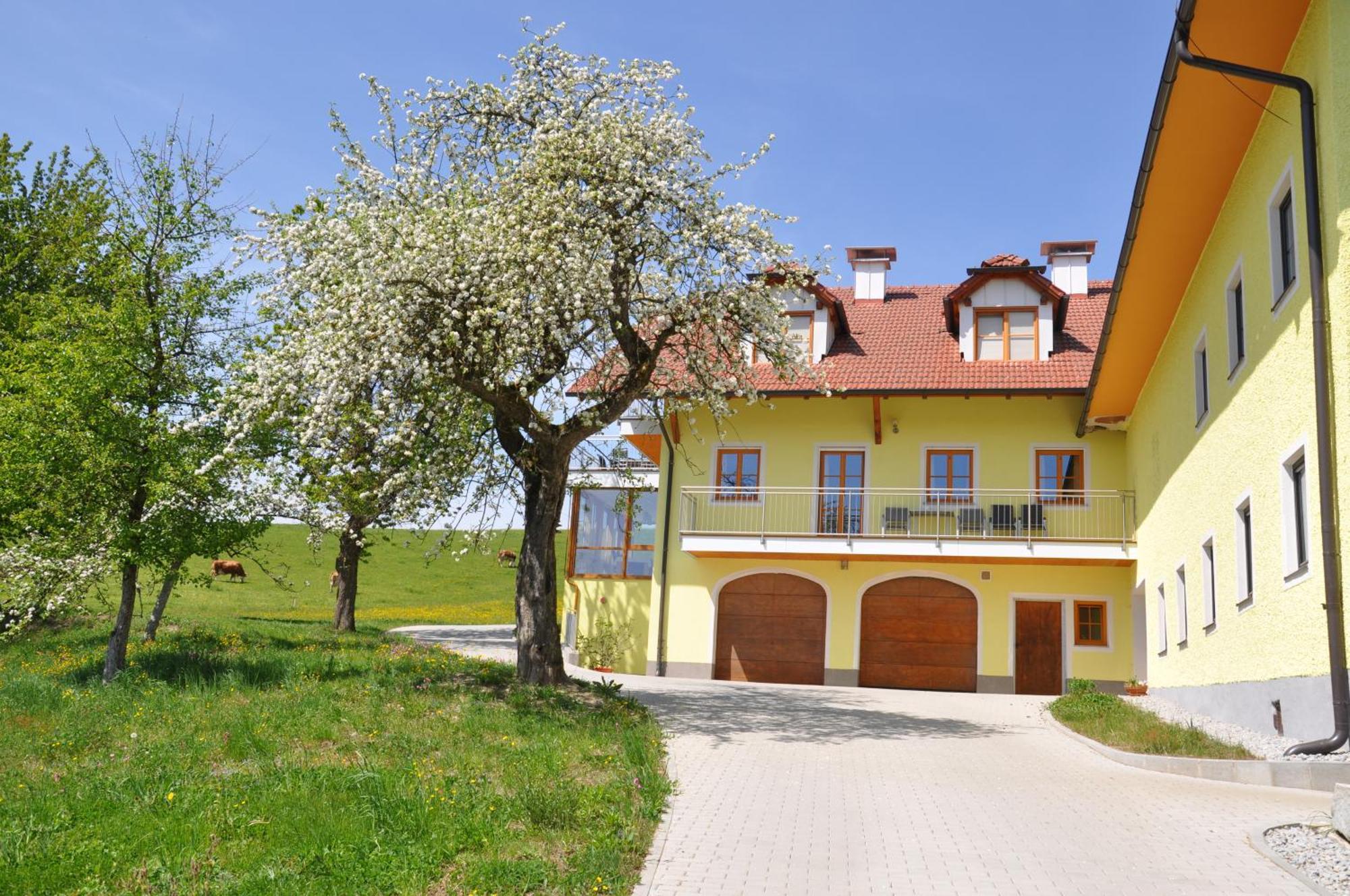 Ferienwohnung Mayrhofer Hofkirchen im Mühlkreis Exteriör bild